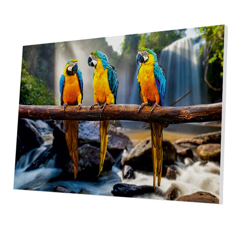 Tablou Forex Colorful Parrot Waterfall - clevny.ro