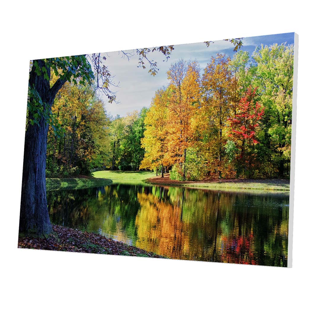 Tablou Forex Colorful Trees Reflections - clevny.ro