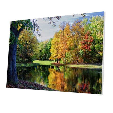 Tablou Forex Colorful Trees Reflections - clevny.ro
