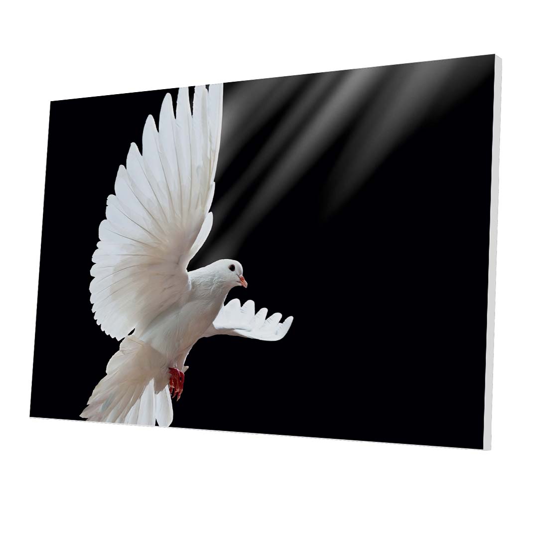 Tablou Forex Dove in Flight - clevny.ro