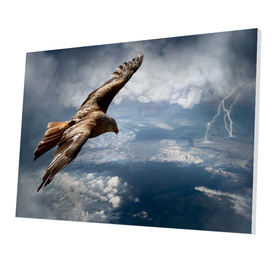 Tablou Forex Eagle Above the Storm - clevny.ro