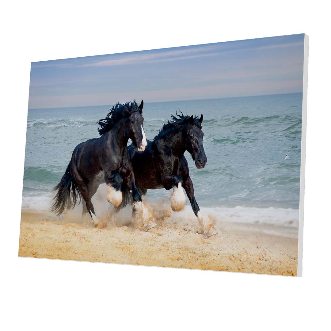 Tablou Forex Galloping Horses - clevny.ro