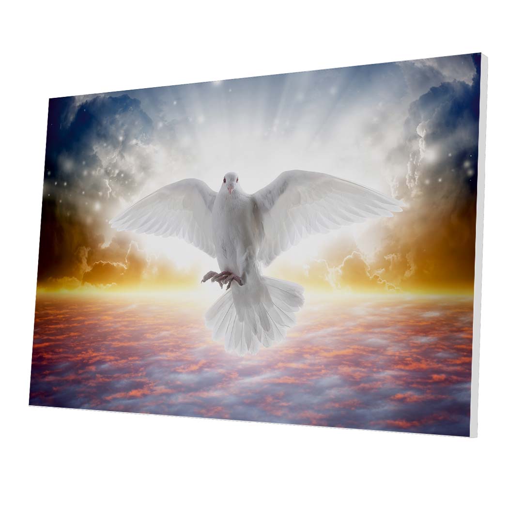 Tablou Forex Holy Spirit Bird - clevny.ro