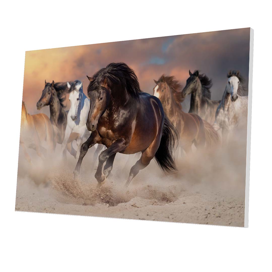 Tablou Forex Horse Herd Run in Desert - clevny.ro