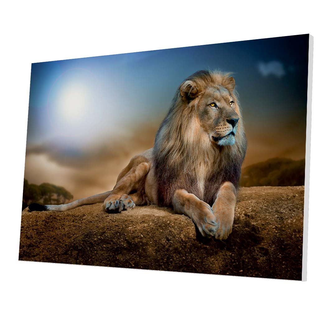 Tablou Forex Lion King - clevny.ro