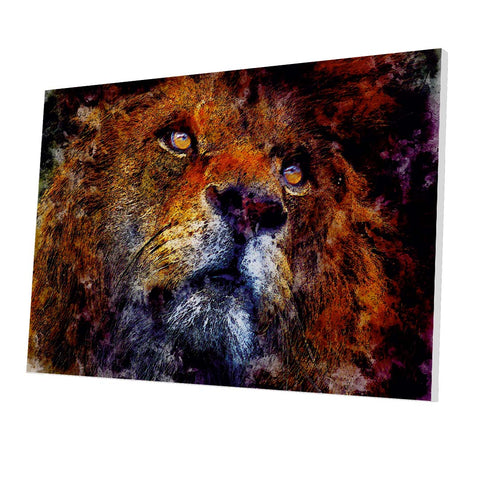 Tablou Forex Lion Sauvage - clevny.ro