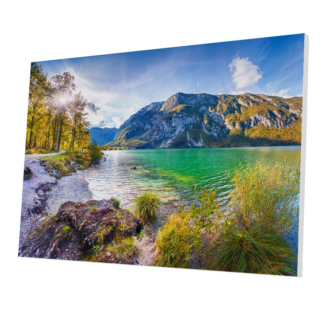 Tablou Forex Morning on the Bohinj Lake - clevny.ro