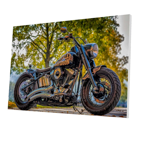 Tablou Forex Motorcycle Harley Davidson - clevny.ro