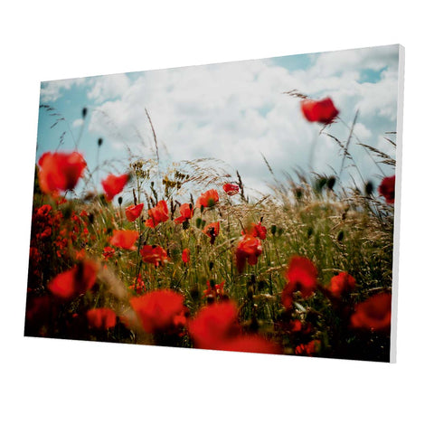 Tablou Forex Poppies in the Wheat Field - clevny.ro