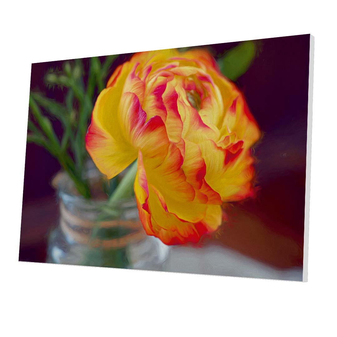 Tablou Forex Ranunculus Flower - clevny.ro