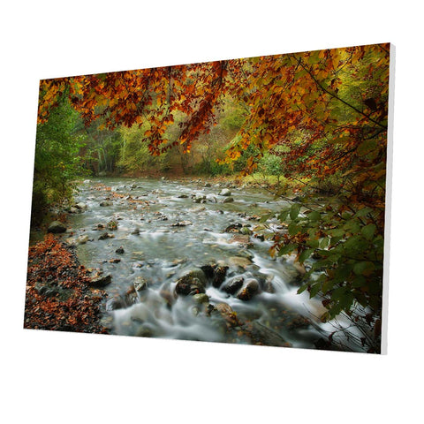 Tablou Forex River in Autumn - clevny.ro