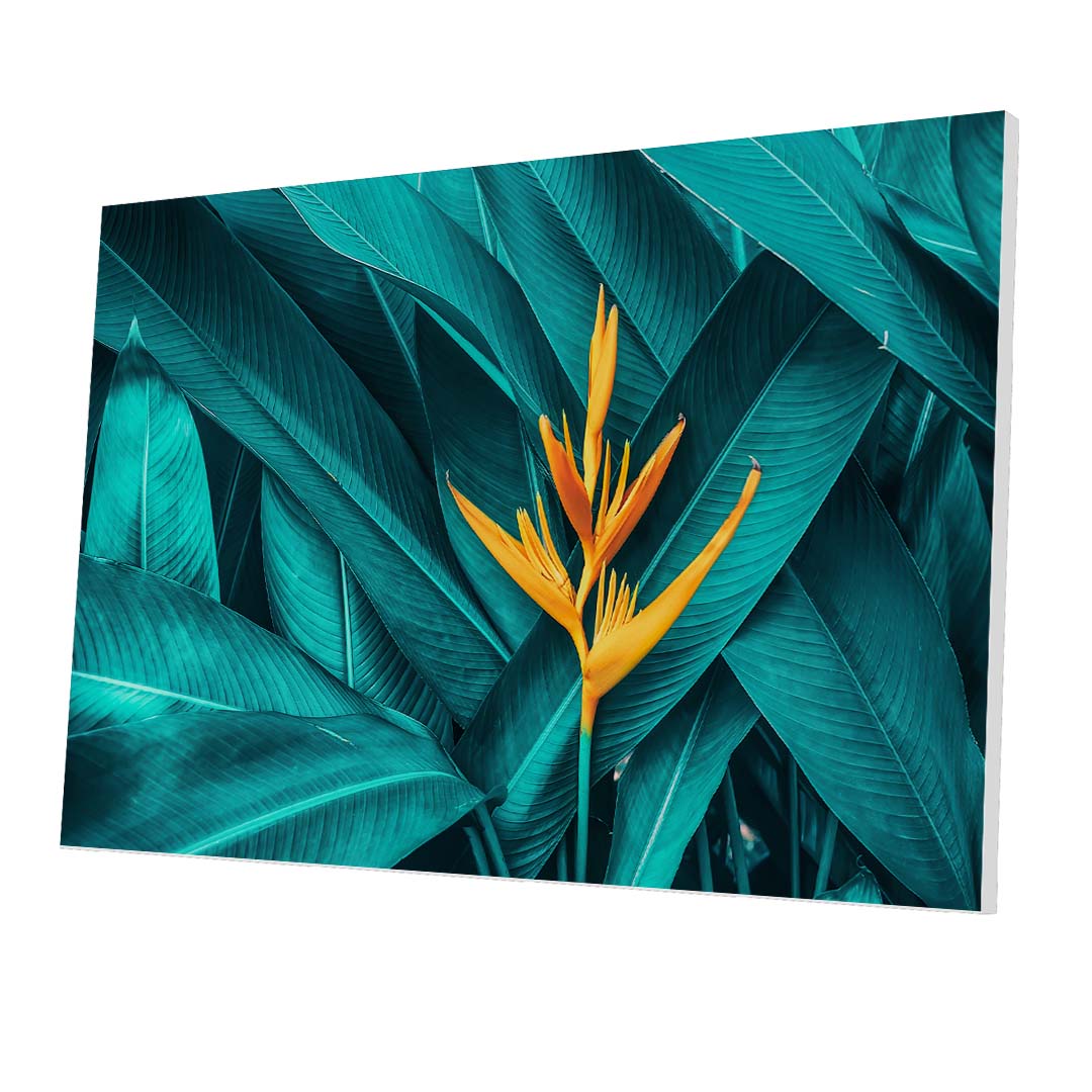 Tablou Forex Tropical Flower - clevny.ro