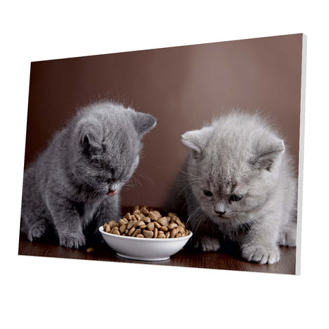 Tablou Forex Two Cats Eating - clevny.ro