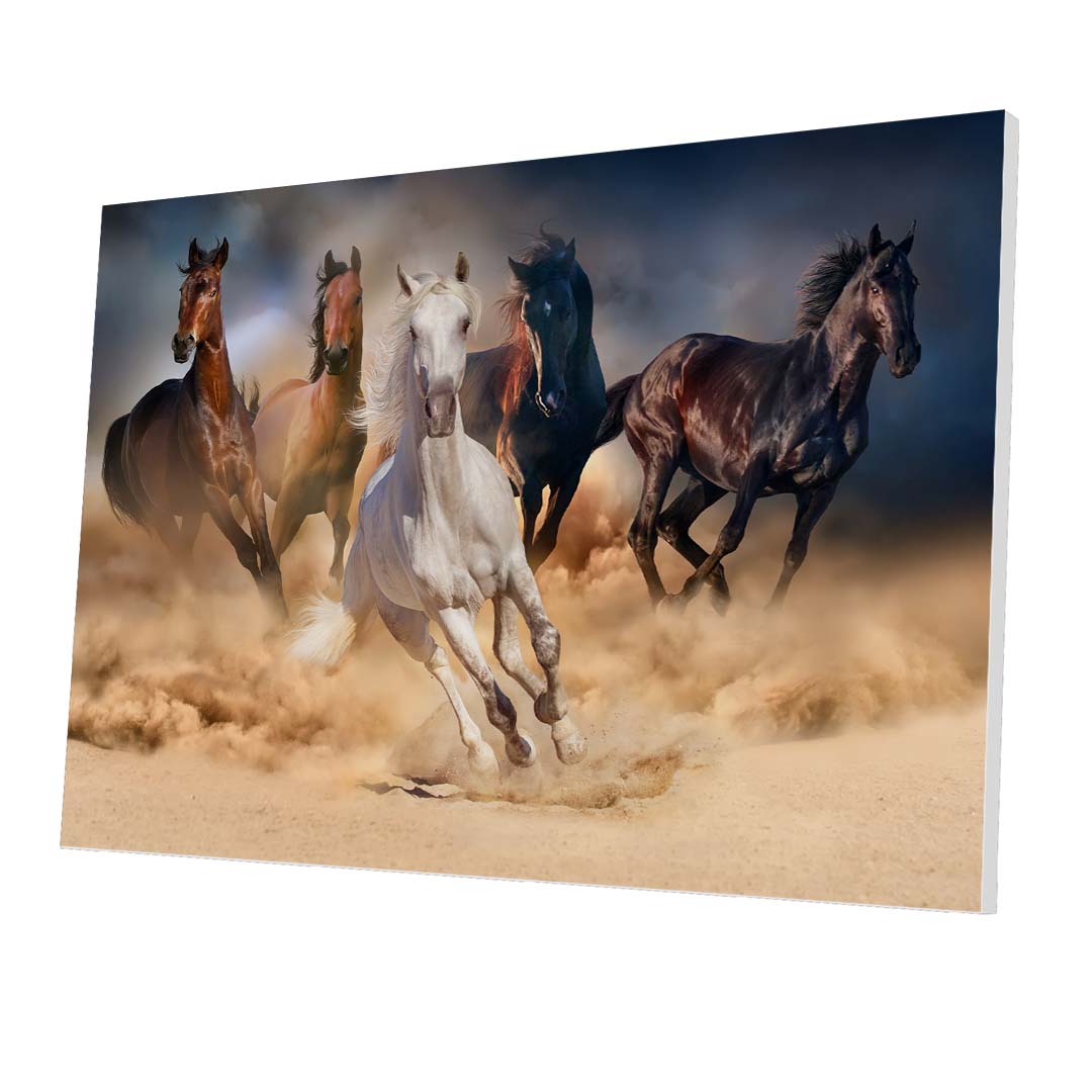 Tablou Forex Wild Horses - clevny.ro