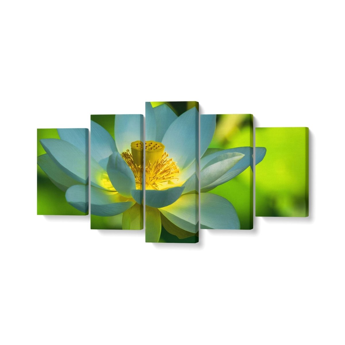 Tablou MultiCanvas 5 piese Lotus Flower - clevny.ro