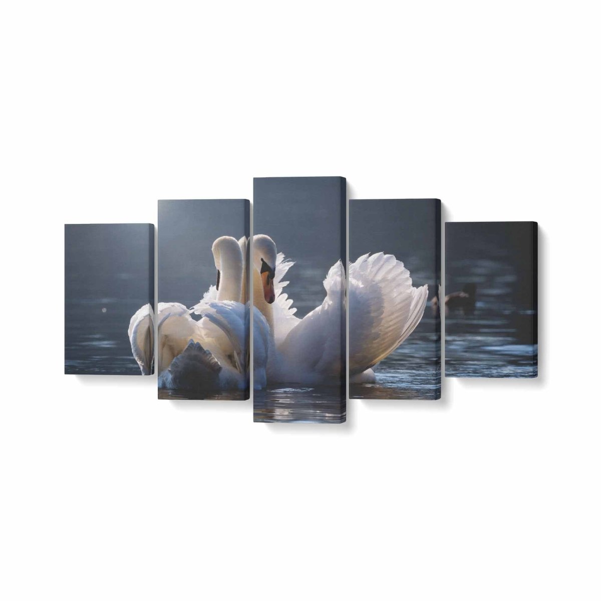 Tablou MultiCanvas 5 piese Swans in Love - clevny.ro