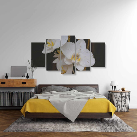 Tablou MultiCanvas 5 piese White Phalaenopsis Flower - clevny.ro