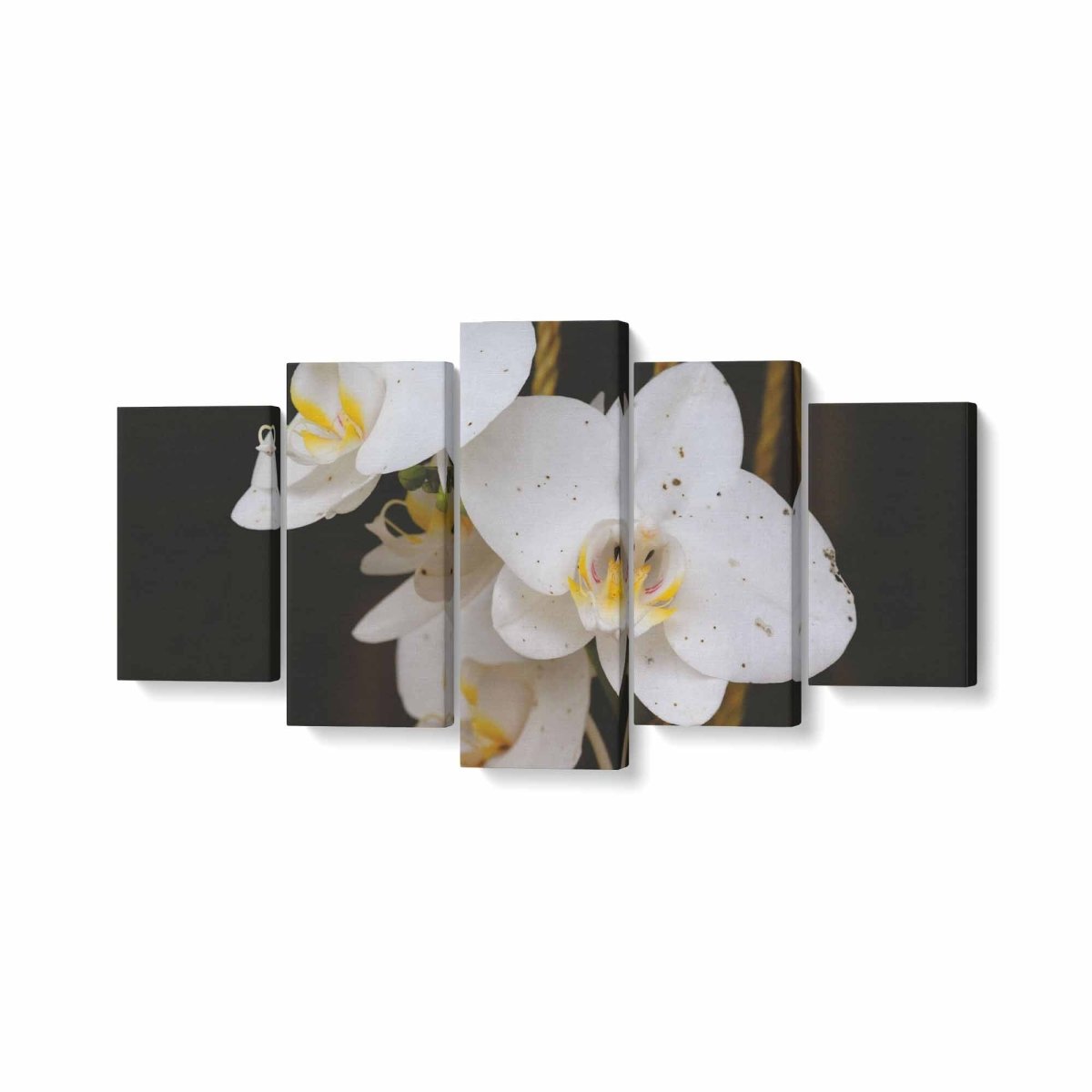 Tablou MultiCanvas 5 piese White Phalaenopsis Flower - clevny.ro